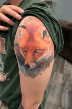 Healed fox 