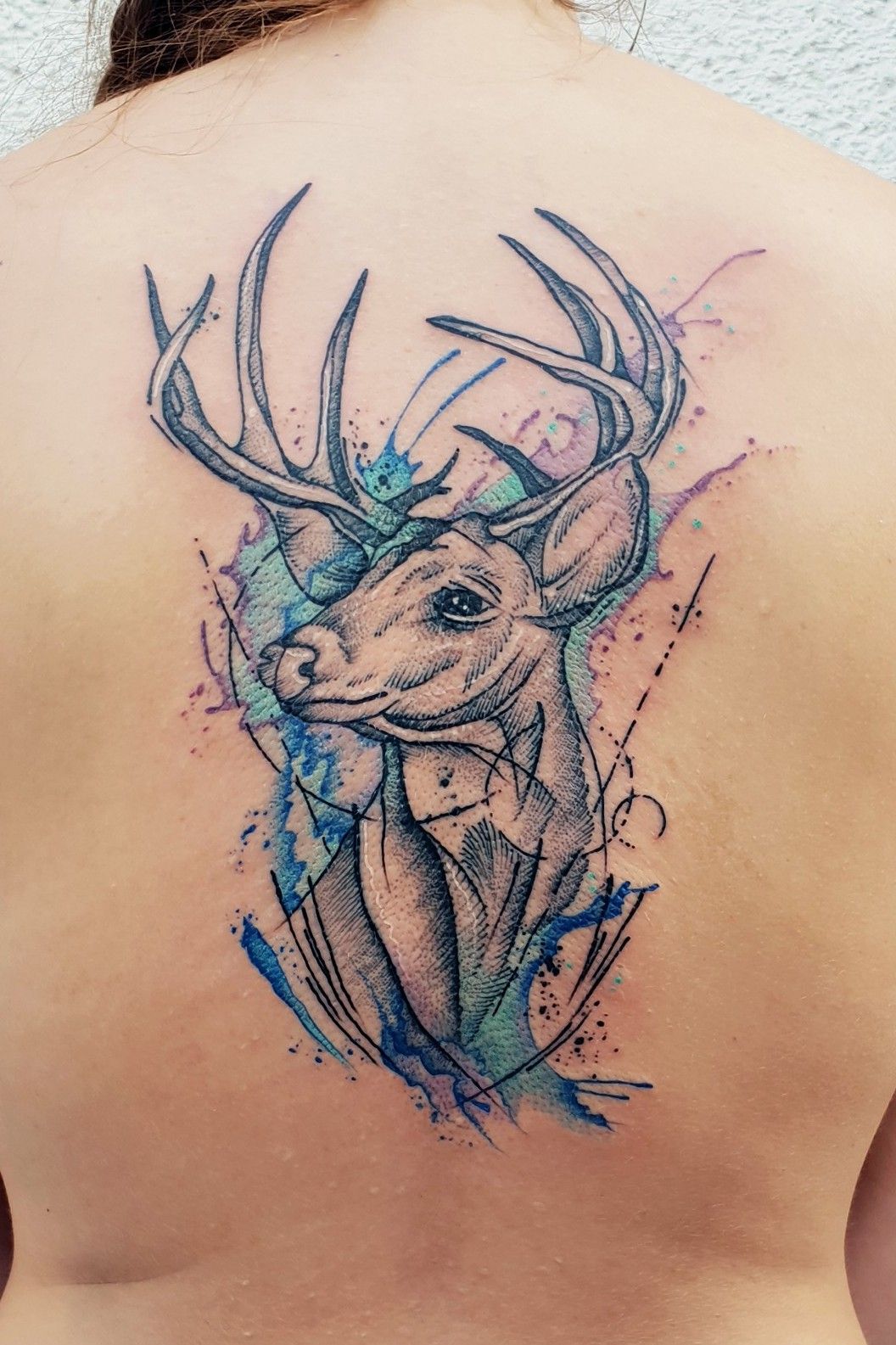 Mule Deer Skull with Butterfly Ink pen on paper 115x14  Imgur  Deer  skull tattoos Deer skull drawing Deer tattoo