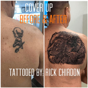 Black and Gray lion and lamb cover up