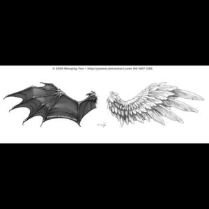 Bat Wing and Angel Wing 