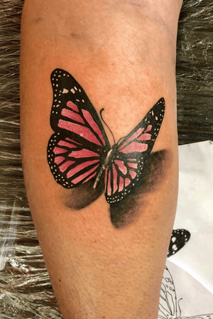 #realism #butterfly #color 