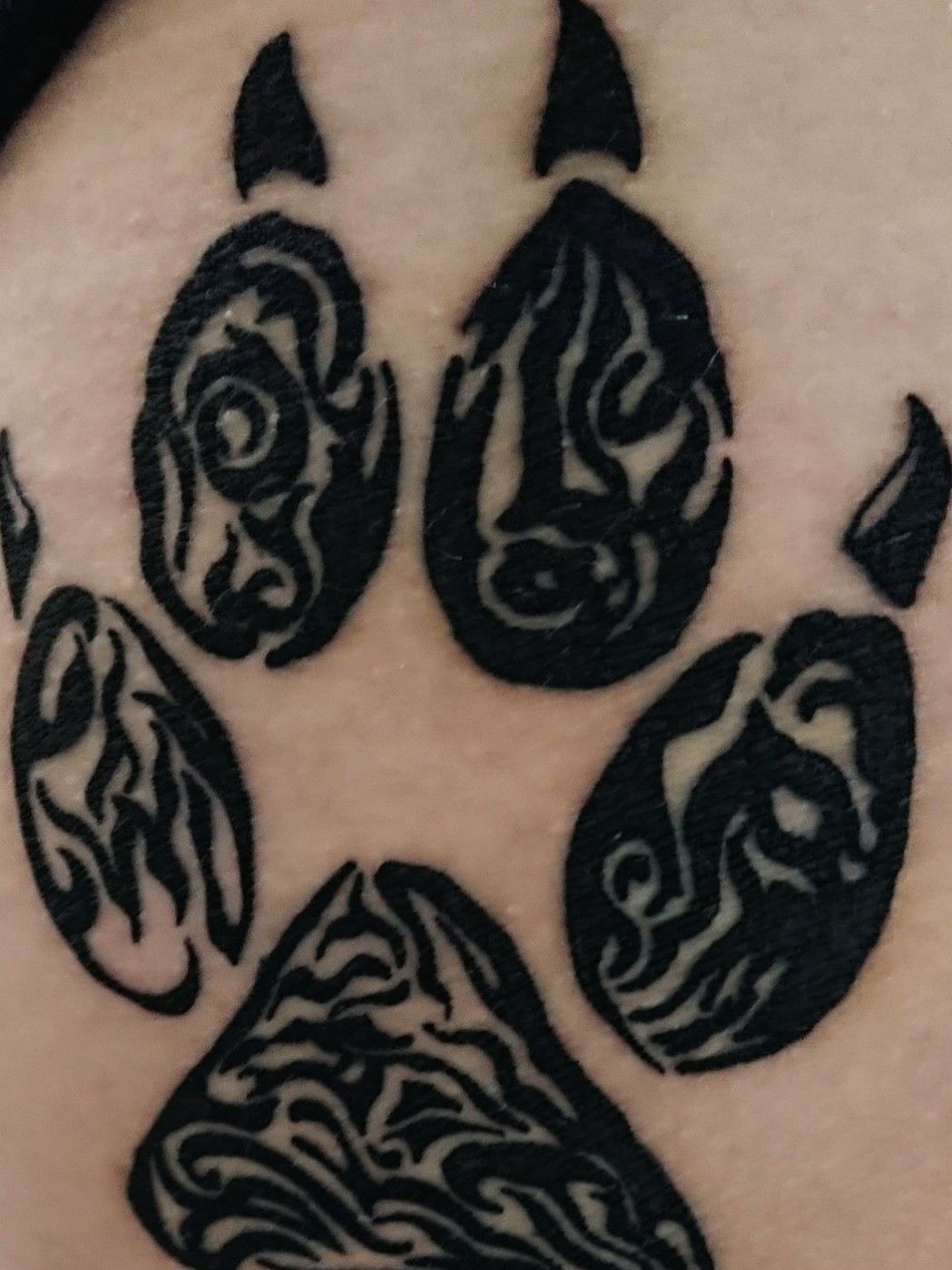 10 Best Tiger Paw Print Tattoo Designs Ideas  PetPress  Neck tattoo  Full sleeve tattoos Bird tattoo neck