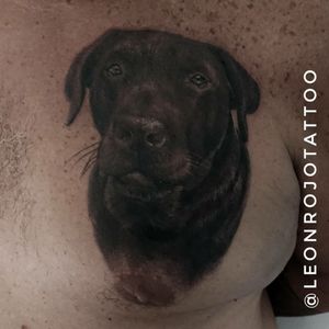 Tatuaje realizado por nuestra artista:@leonrojotattooEstilo: RealismoSi te queres tatuar con él, envía WhatsApp al +54 9 11 2846-9044 o mensaje privado.