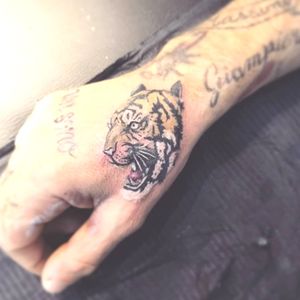 #tigretattoo #tattootigre #hand #tigre 🐯