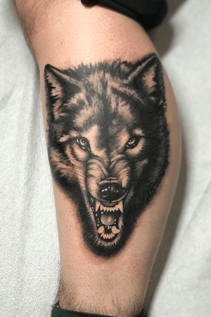 Black and grey Wolf 