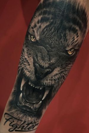 Tigre tiger realism black and grey fight fighter