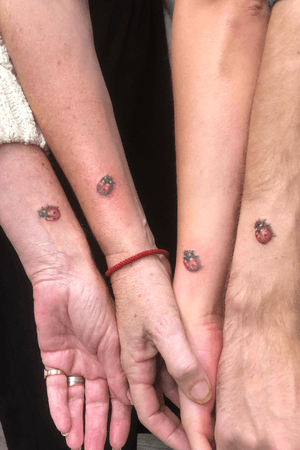 Family of Lady bugs for a family.  So cute!  #realism #ladybug #realistictattoo 