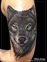 Tattoo by Chad Clark. #wolf #wolftattoo #floridatattooartist #capecoral #tophatclassictattoo #realism #blackandgreytattoo #colortattoo #greeneyes 