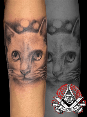 Realism’s Cat tattoo ๐ ๐ ๐ For more information and appointments please feel free to contact us. 248/3 Phangmeung sai kor road ,Patong, Kathu, Phuket 83150 Tel. (+66)095-419 5636 (+66)093-791 4653 (+66)099-365-6643 for English speaker http://www.blessyoutattoostudio.com/ https://www.facebook.com/pages/Bless-You-Tattoo-Studio/1283563375012418