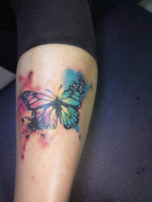 Watercolored butterfly