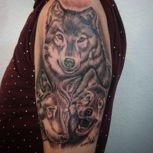 Wolfs done Whit kaco Tattoo machine vorace. Entre Lagos Tattoo & Art Gallery Centralstrasse 42 Interlaken switzerland WhatsApp :079 448 35 83 Facebook :jairo ramirez art Instagram :JAIRO_RAMIREZART Www.entrelagostattooartgallery.com Jairoramirezart@gmail.com