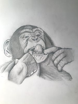 Chimpancé #monkeytatto #animaltatto #mono #chimpance #draw #simio #haciendoburla #inkmonkey