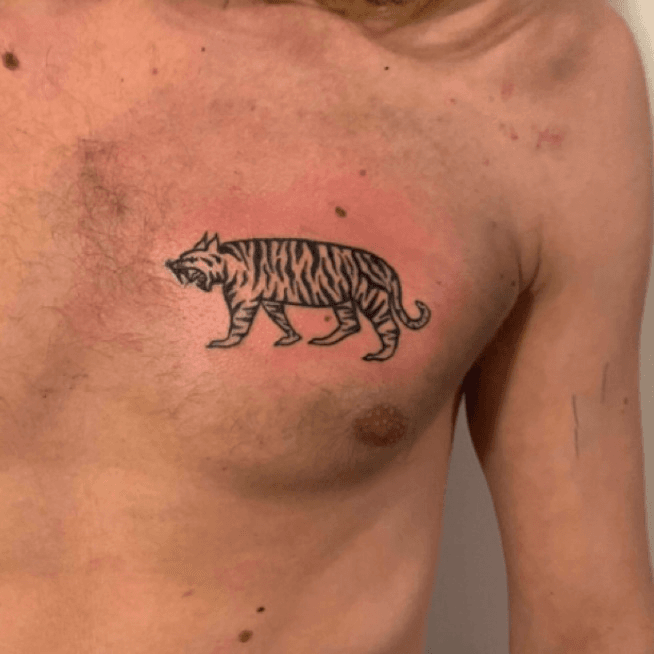 Microrealistic tiger tattoo located on the inner