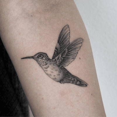 #singleneedle #hummingbird #fineline #slimneedle #blackandgrey #2019tattootrend