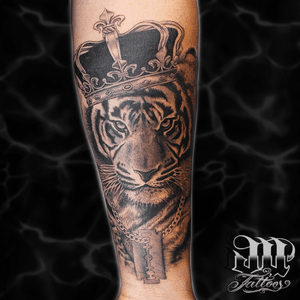 King tiger black and grey
