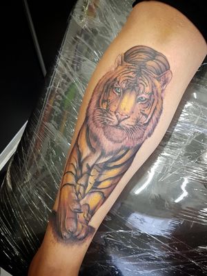 #Tigre Tatuaje hecho por May Ramírez. #HayMomentosQueDuranParaSiempre #TatuajesyPerforacionesLaClinica #Desde1995 #MayRamirezTattoos #Tiger #TigerTattoo #TigersTattoos #Tattoo #Tigre #TigreTattoo #Tigre🐯 #TigerHeadTattoo #TigerHead #LegTattoo 