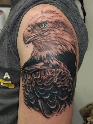 Bald eagle/cover up black and grey realism