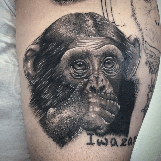 Mike DeVries  Tattoos  Realistic  Monkey Tattoos