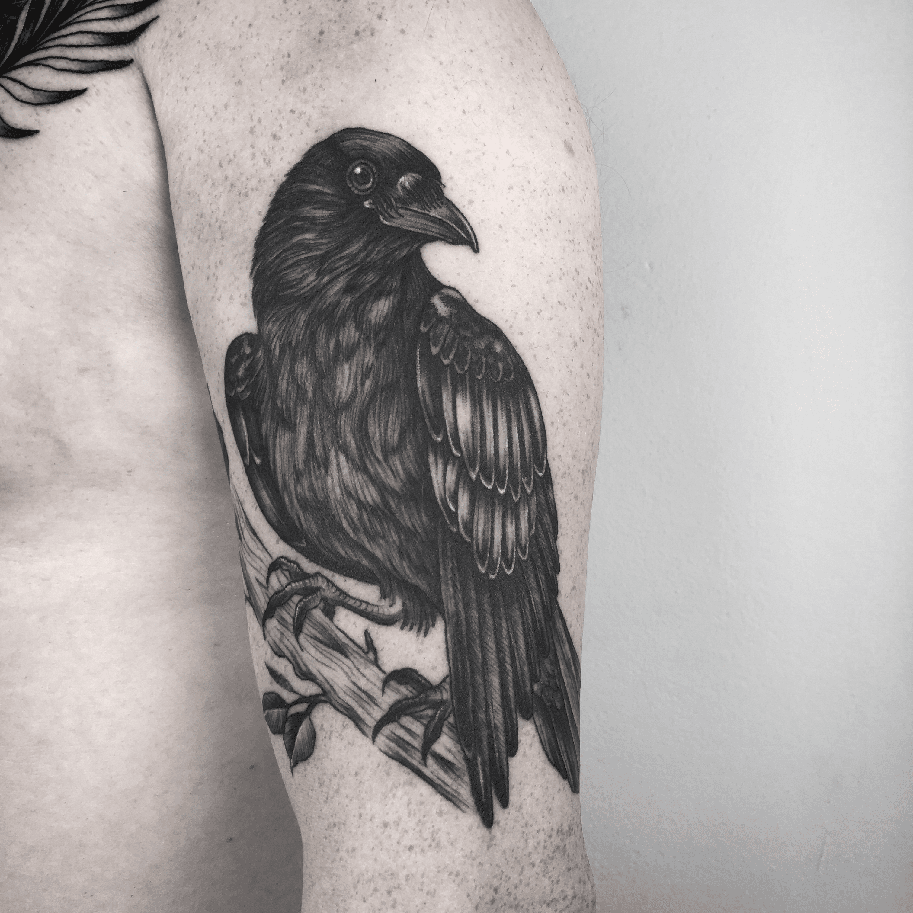 Buy Full Sleeve Wolf and Raven Temporary Tattoo Realistic Crow Online in  India  Etsy