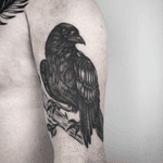 .| healed |. #blackandgrey #blackwork #raven #upperarm #henjafin #PechschwarzTattoo 