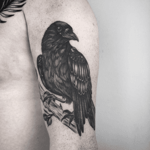 Henja Fin • Tattoo Artist • Tattoodo