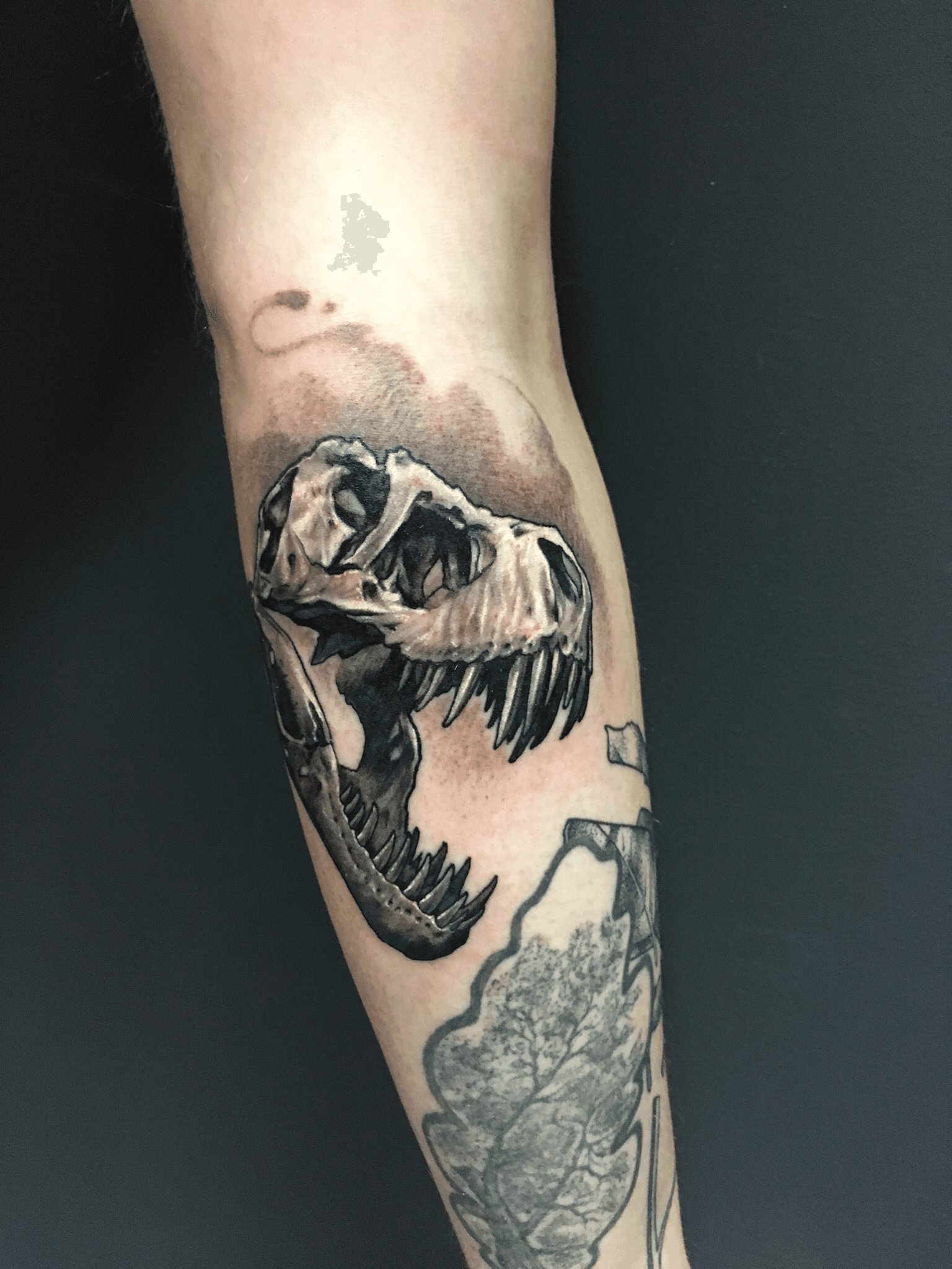 Premium Vector  Tattoo and tshirt design black and white hand drawn  illustration trex skull with lily flower with moon background