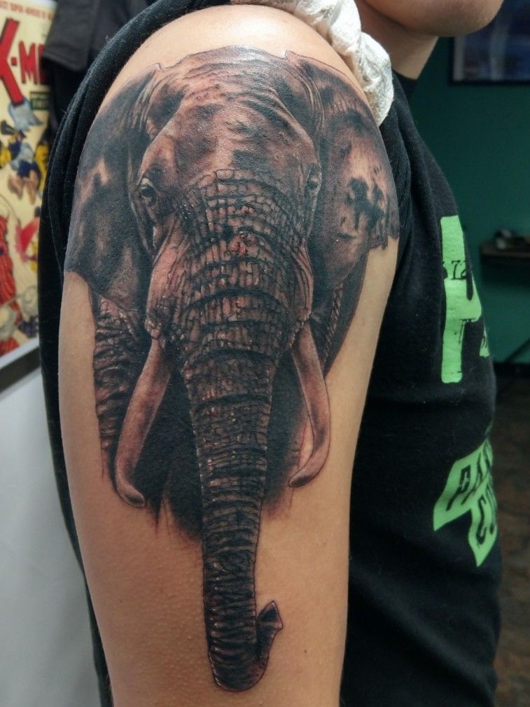 Tattoo uploaded by Iron Rhino Tattoo • Elephant, African wildlife, black  and grey realism • Tattoodo