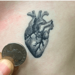 Miniature anatomical heart