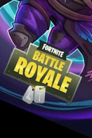 A fan of fortnite battle Royale