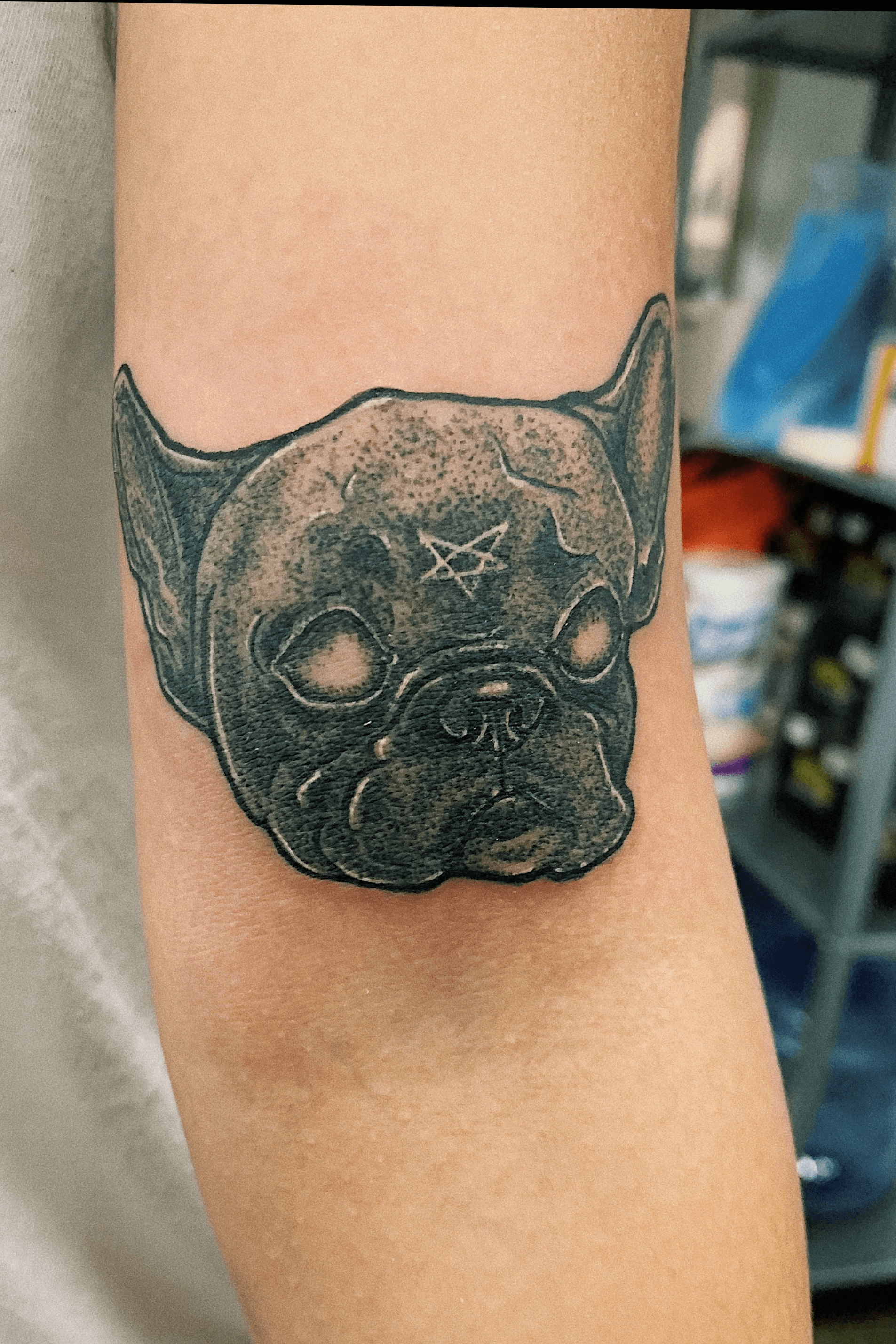 Traditional Bulldog Tattoos  Cloak and Dagger Tattoo London