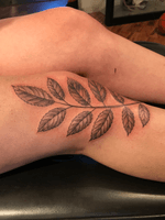 leaves, native american, knee