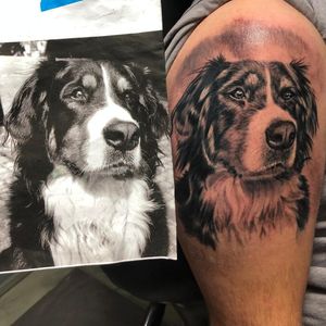 #dog #dogtattoo #portrait #realism #realistic #tattoo #tattooist #blackandgrey #colly 