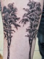 Little trees #tree #trees #nature #tattooart #art 