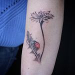 Lady bug climbing on a flower #tattoo #tattooideas #tattooinmoscow #skaskatattoo #inkartist #inkaddict #inkedpeople #blackandgrey #cute #cutetattoo #tattooselection 
