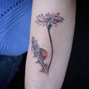 Lady bug climbing on a flower#tattoo #tattooideas #tattooinmoscow #skaskatattoo #inkartist #inkaddict #inkedpeople #blackandgrey  #cute #cutetattoo #tattooselection 