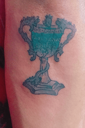 La copa de los tres magos #harrypotter #triwizardcup 