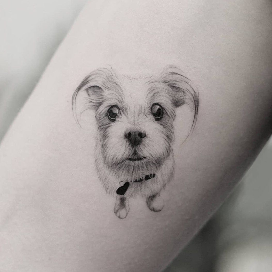 Tattoo of Dogs Animals Leg