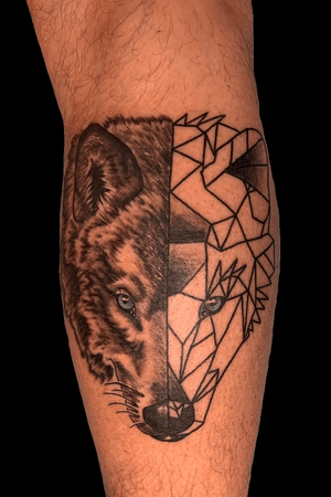 Wolf back of calf