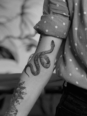 #snake #blackandgrey #Black #tattoos #blackwork #Tattoodo #alianilercel