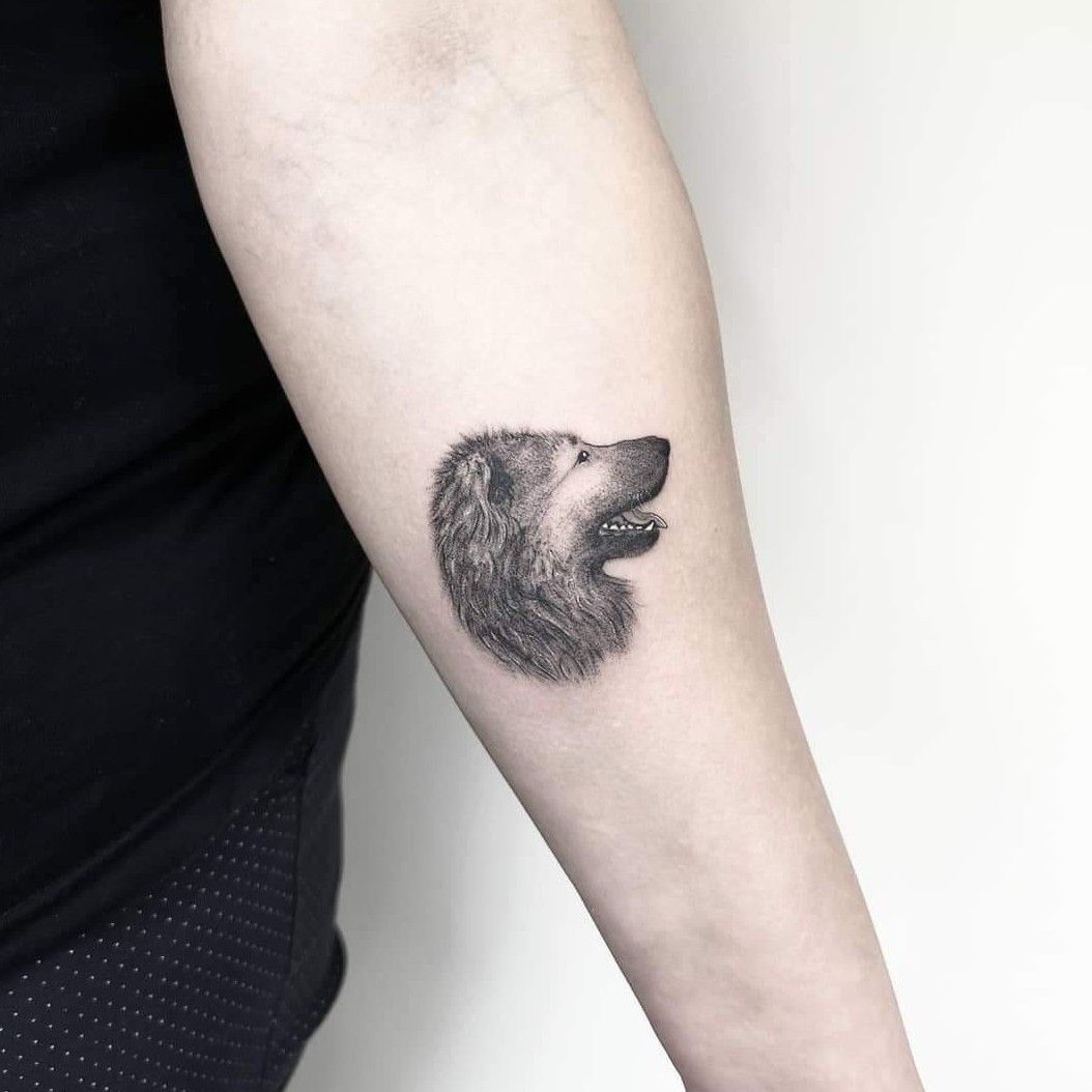 Celtic Wolf  Dog Tattoos  LuckyFish Art