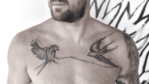 Protected #bird #graphic #fineline #tatted #art #illustrative 