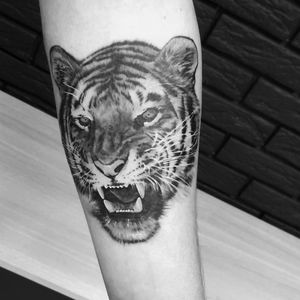 #тату #тигр #trigram #tattoo #tiger #inkedsense #tattooist #кольщик