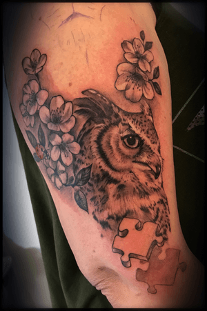 Owl tattoo. First session on a halfsleeve