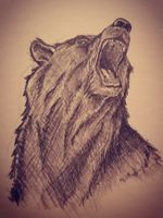 Quick bear sketch. Want to work on this one and improve. #bear #sketch #blackwork 
