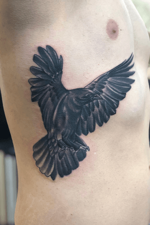Got a raven rib piece for my first tattoo!