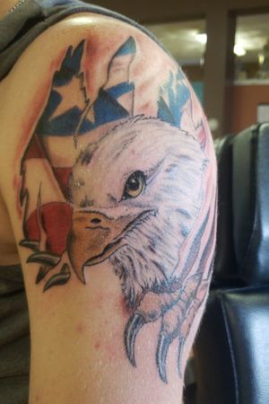 Bald eagle and American flag 