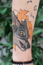 Healed picture of the wolf! 