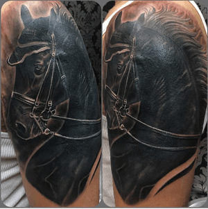 Tribal cover up on an awesome client! #tattoos #bhfyp #ink #inked #tattooed #tattooartist #tattooart #tattoodo #tattoolife #inkedup #inkedguys #dccomics #tattooist #bodyart #inkedgirls #blackwork #girlswithtattoos #guyswithtattoos #tattooing #horse #tribalcoverup #horsetattoo #artwork #tattooer #inklife #blacktattoo #tattooedgirls #tattooed 