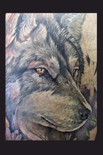 Black and gray wolf face, check out instagram for the full tattoo @sean_embers