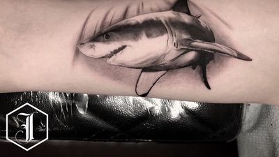 Great White shark done for rad client! Contact: JORDANTATTOOS3@GMAIL.COM IG: @JordanTattoos #JordanTattoos #GreatWhite #Shark #SharkTattoo #SanDiego #EvenKeelTattoo #Black #BlackAndGrey #BlackworkArtist #bng #naturetattoo 
